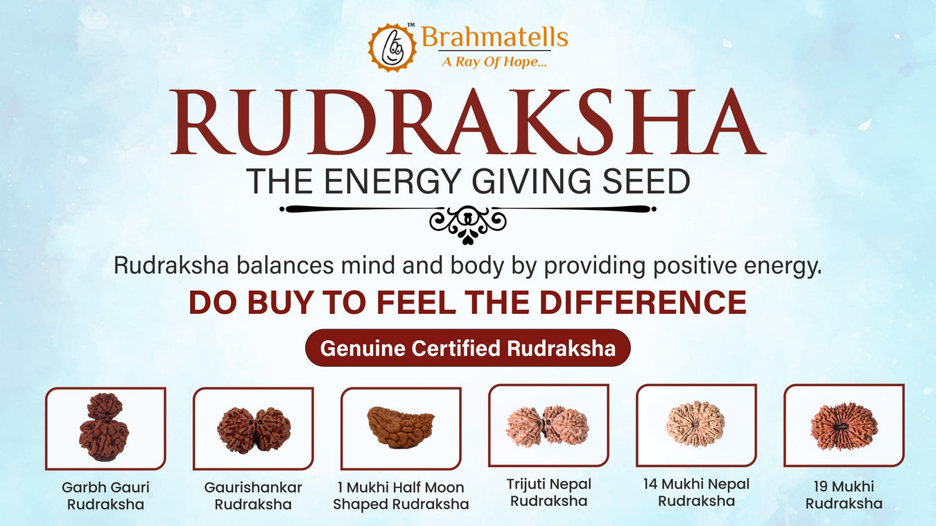 Collector's Edition Rudraksha Pendants - Serenity & Balance | Brahmatells - BrahmatellsStore