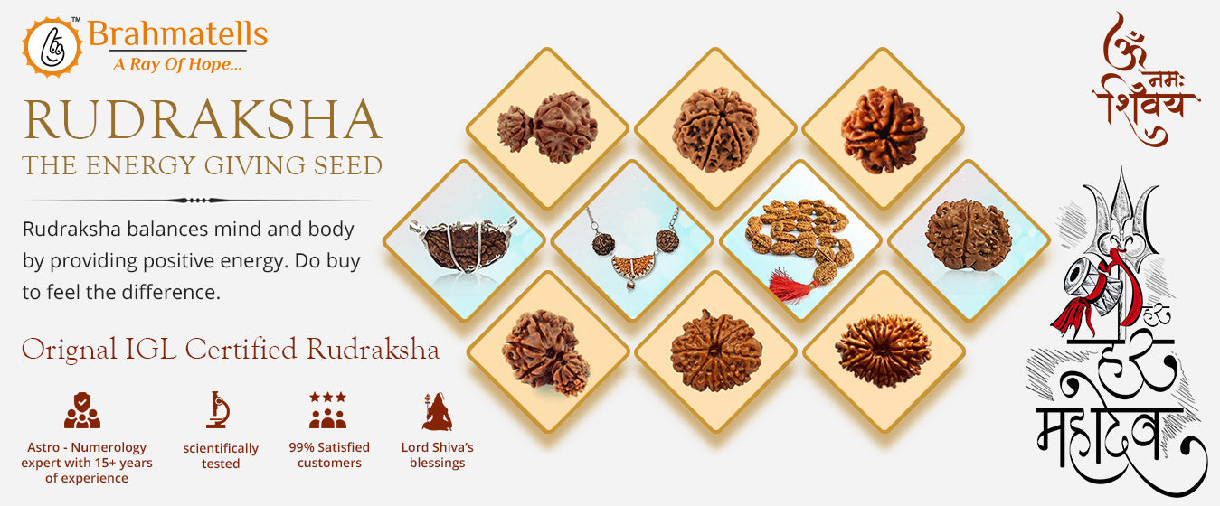 Sacred Serenity: Premium Rudraksha Collection | Brahmatells - BrahmatellsStore