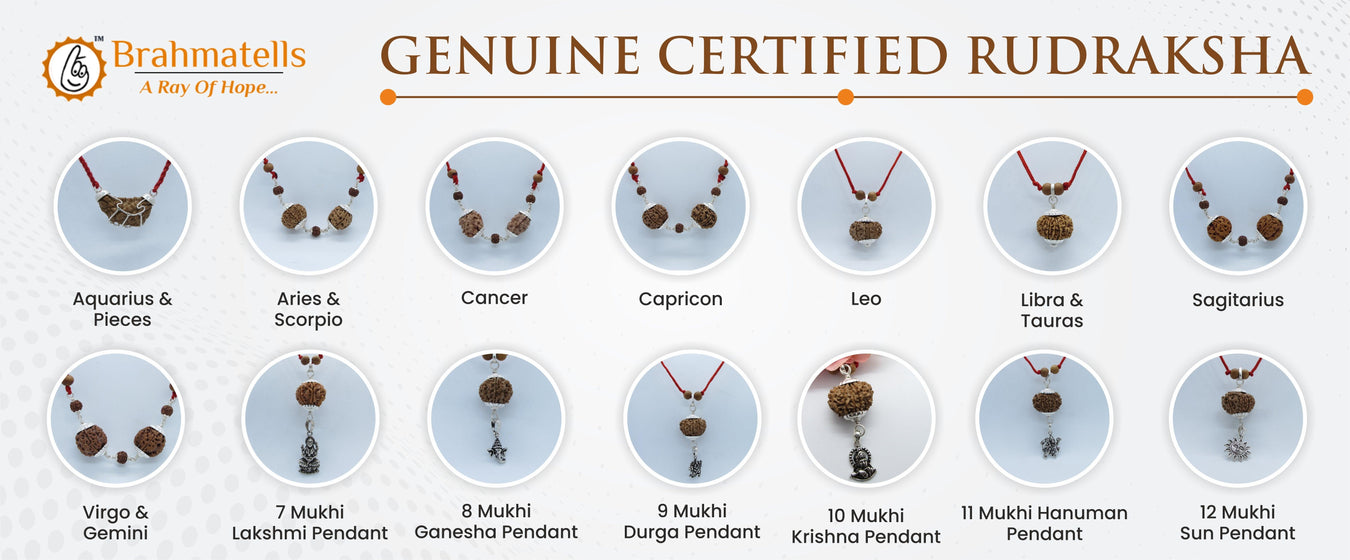 Zodiac Rudraksha Combo Collection | Brahmatells - BrahmatellsStore