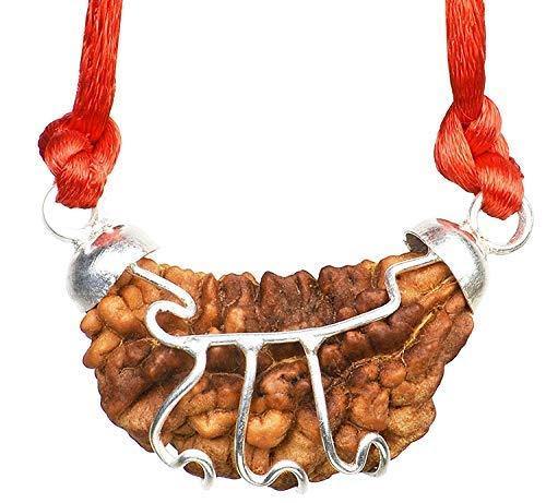 1 Mukhi Certified Rudraksha Silver Cap Pendant - Universal Spiritual Symbol | Brahmatells - BrahmatellsStore