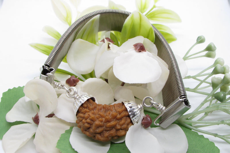 1 Mukhi Rudraksha Bracelet - Spiritual Elegance | Brahmatells - BrahmatellsStore