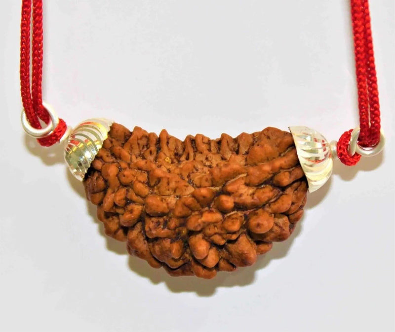 1 Mukhi Rudraksha Silver Pendant - Divine Essence of Shiva | Brahmatells - BrahmatellsStore