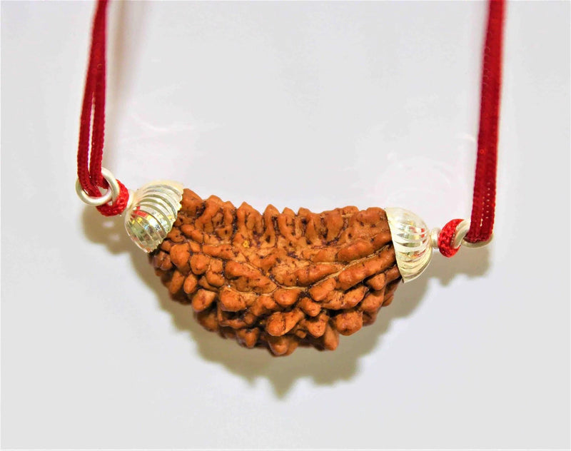 1 Mukhi Rudraksha Silver Pendant - Divine Essence of Shiva | Brahmatells - BrahmatellsStore