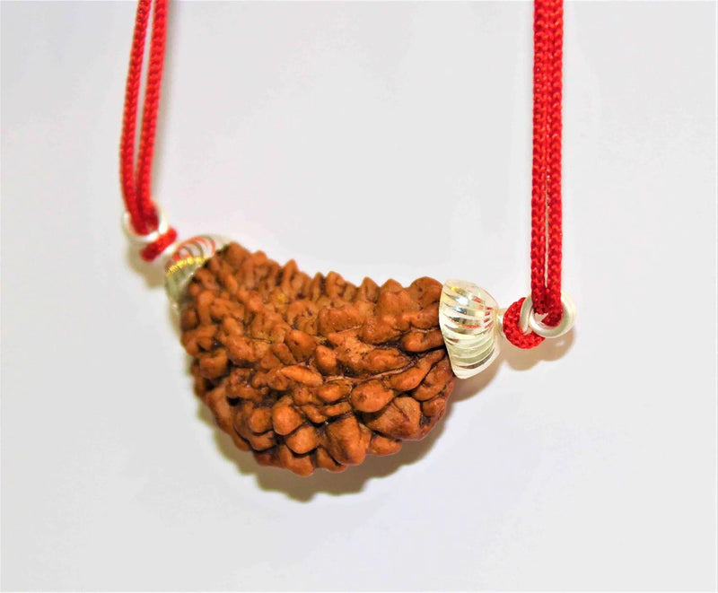 1 Mukhi Rudraksha Silver Pendant - Divine Essence of Shiva | Brahmatells - BrahmatellsStore