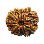 10 Mukhi Round Rudraksha Pendant: Embrace Vishnu's Divine Protection | Brahmatells - BrahmatellsStore