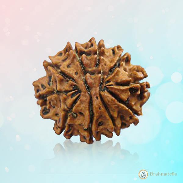 10 Mukhi Round Rudraksha Pendant: Embrace Vishnu's Divine Protection | Brahmatells - BrahmatellsStore