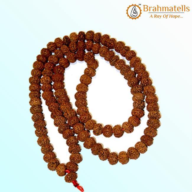 10 Mukhi Rudraksha Mala - Ultimate Shield of Lord Vishnu | Brahmatells - BrahmatellsStore