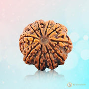 10 Mukhi Rudraksha Pendant - Embrace Lord Vishnu's Protective Essence | Brahmatells - BrahmatellsStore