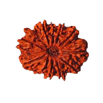 10 Mukhi Rudraksha Pendant: Embrace the Shield of Lord Vishnu | Brahmatells - BrahmatellsStore