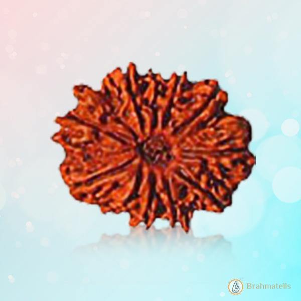 10 Mukhi Rudraksha Pendant: Embrace the Shield of Lord Vishnu | Brahmatells - BrahmatellsStore