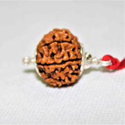 10 Mukhi Rudraksha Silver Cap Pendant - Divine Shield of Lord Vishnu | Brahmatells - BrahmatellsStore