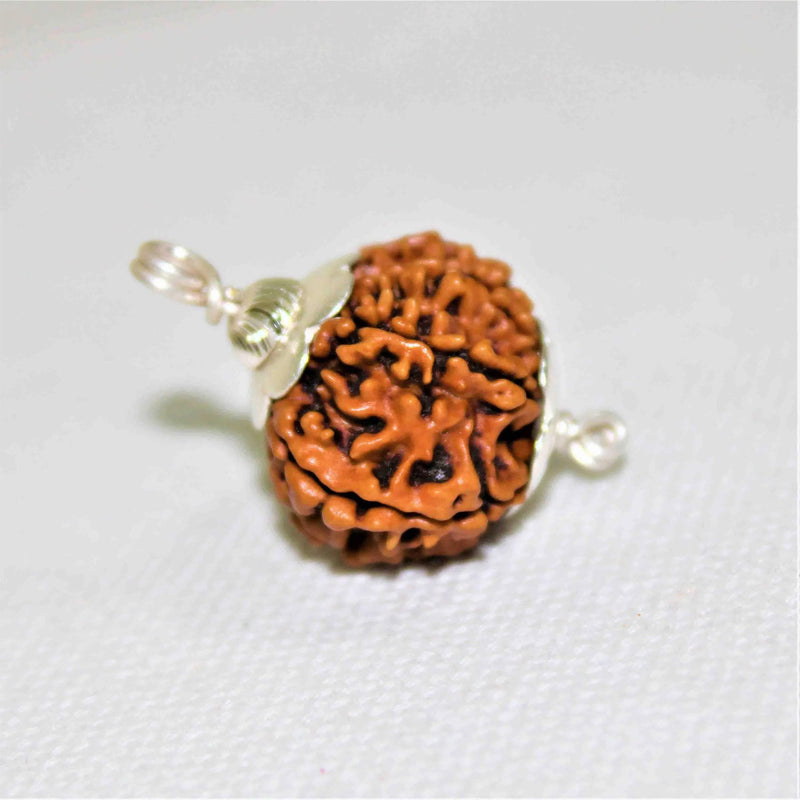 10 Mukhi Rudraksha Silver Cap Pendant - Divine Shield of Lord Vishnu | Brahmatells - BrahmatellsStore