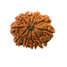 10 Mukhi Rudraksha Silver Cap Pendant - Divine Shield of Lord Vishnu | Brahmatells - BrahmatellsStore