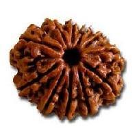 11 Mukhi Dark-Brown Rudraksha Pendant: Spiritual Empowerment & Protection | Brahmatells - BrahmatellsStore