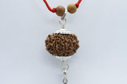 11 Mukhi Hanuman Rudraksha Pendant - Symbol of Spiritual Strength | Brahmatells - BrahmatellsStore