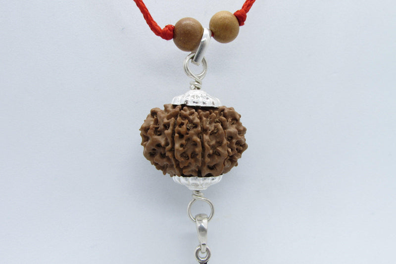 11 Mukhi Hanuman Rudraksha Pendant - Symbol of Spiritual Strength | Brahmatells - BrahmatellsStore