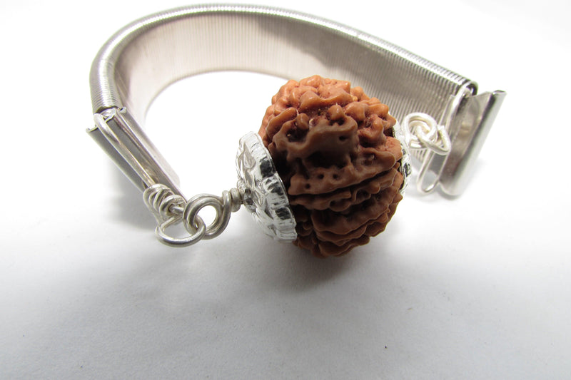 11 Mukhi Rudraksh Bracelet for Spiritual Mastery | Brahmatells - BrahmatellsStore