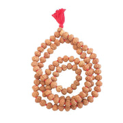 11 Mukhi Rudraksha Mala - Harness the Power of Ekadasha Rudra | Brahmatells - BrahmatellsStore
