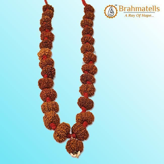 11 Mukhi Rudraksha Mala - Harness the Power of Ekadasha Rudra | Brahmatells - BrahmatellsStore