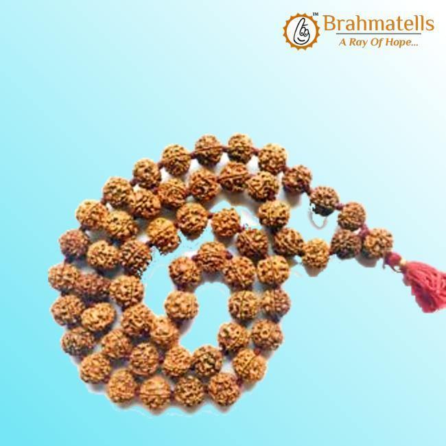 11 Mukhi Rudraksha Mala - Harness the Power of Ekadasha Rudra | Brahmatells - BrahmatellsStore