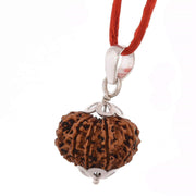 11 Mukhi Rudraksha Silver Pendant - Power of Ekadasha Rudra | Brahmatells - BrahmatellsStore