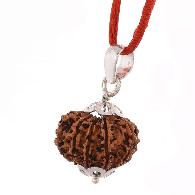 11 Mukhi Rudraksha Silver Pendant - Power of Ekadasha Rudra | Brahmatells - BrahmatellsStore