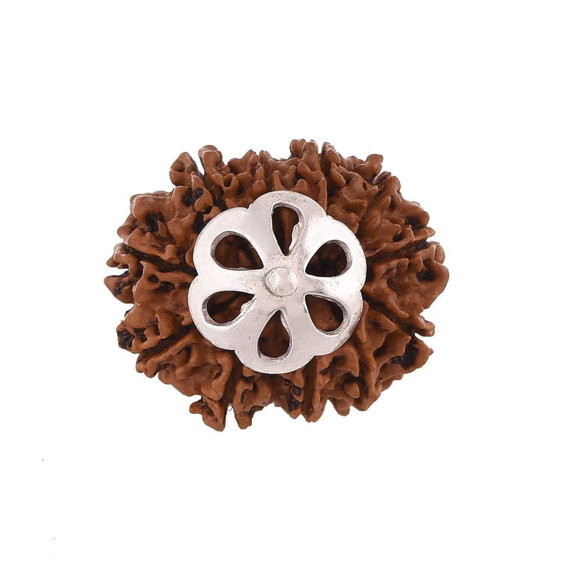 11 Mukhi Rudraksha Silver Pendant - Power of Ekadasha Rudra | Brahmatells - BrahmatellsStore