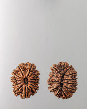 12 Mukhi Rudraksha Bead - Harness Sun's Energy for Leadership | Brahmatells - BrahmatellsStore