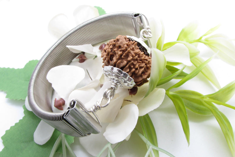 12 Mukhi Rudraksha Bracelet - Radiance & Leadership | Brahmatells - BrahmatellsStore