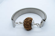 12 Mukhi Rudraksha Bracelet - Radiance & Leadership | Brahmatells - BrahmatellsStore