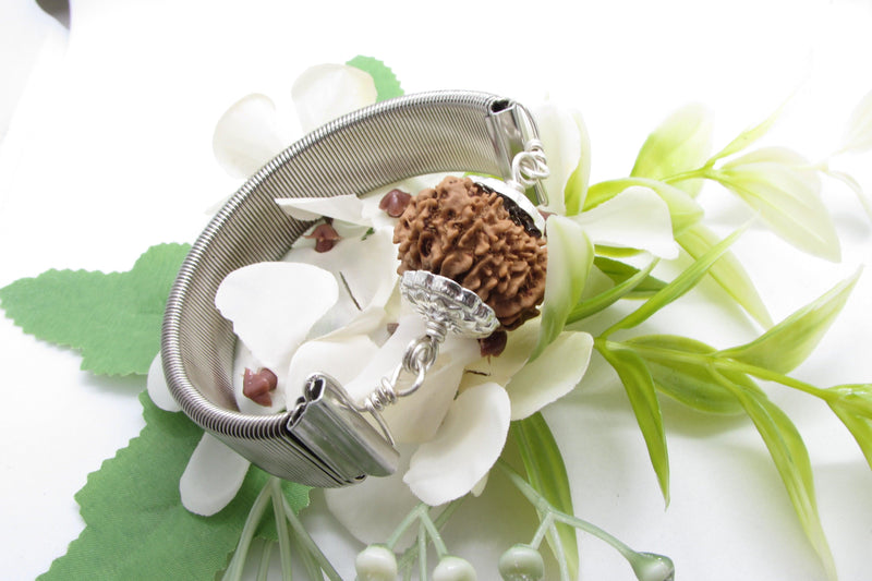 12 Mukhi Rudraksha Bracelet - Radiance & Leadership | Brahmatells - BrahmatellsStore