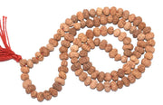 12 Mukhi Rudraksha Mala for Empowerment & Radiance | Brahmatells - BrahmatellsStore