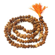 12 Mukhi Rudraksha Mala for Empowerment & Radiance | Brahmatells - BrahmatellsStore
