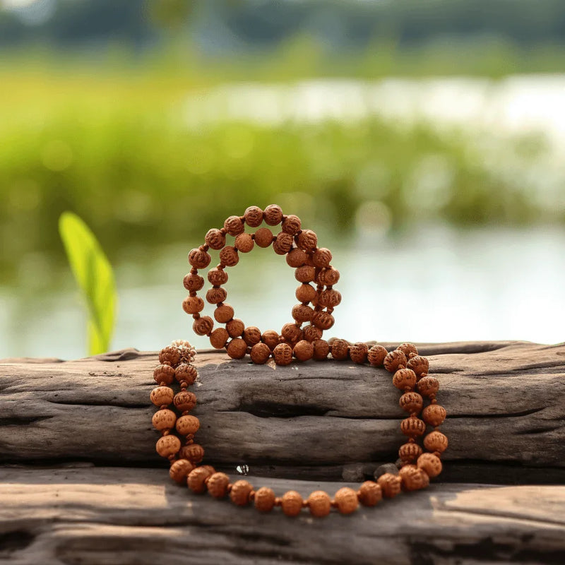 12 Mukhi Rudraksha Mala for Empowerment & Radiance | Brahmatells - BrahmatellsStore