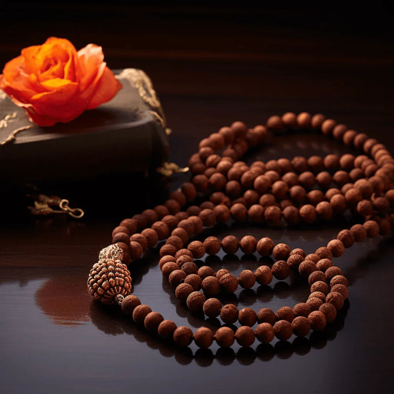 12 Mukhi Rudraksha Mala for Empowerment & Radiance | Brahmatells - BrahmatellsStore