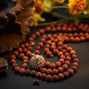 12 Mukhi Rudraksha Mala for Empowerment & Radiance | Brahmatells - BrahmatellsStore