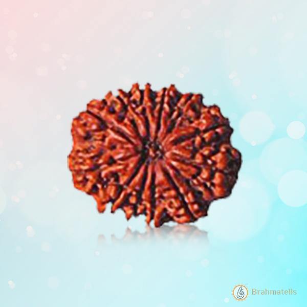 12 Mukhi Rudraksha Pendant - Empowerment & Radiance | Brahmatells - BrahmatellsStore