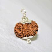 12 Mukhi Rudraksha Silver Cap Pendant - Divine Radiance & Leadership | Brahmatells - BrahmatellsStore