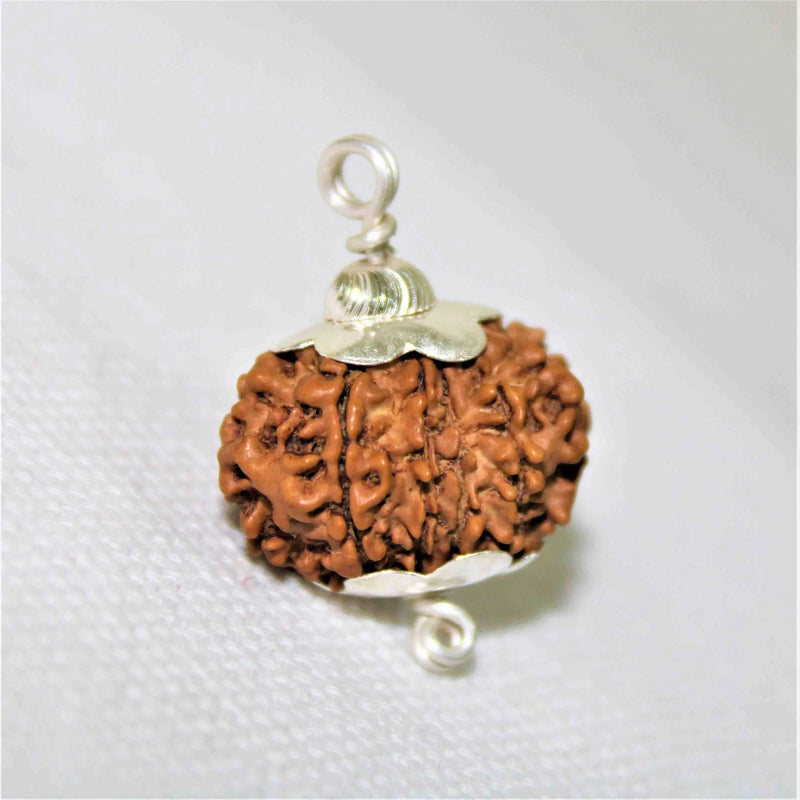 12 Mukhi Rudraksha Silver Cap Pendant - Divine Radiance & Leadership | Brahmatells - BrahmatellsStore