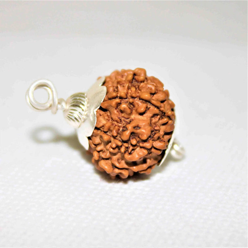12 Mukhi Rudraksha Silver Cap Pendant - Divine Radiance & Leadership | Brahmatells - BrahmatellsStore