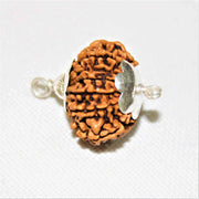 12 Mukhi Rudraksha Silver Cap Pendant - Divine Radiance & Leadership | Brahmatells - BrahmatellsStore