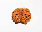 12 Mukhi Rudraksha Silver Cap Pendant - Divine Radiance & Leadership | Brahmatells - BrahmatellsStore