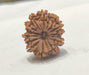 13 Mukhi Rudraksha Bead - Unlock Venus' Power for Charisma | Brahmatells - BrahmatellsStore