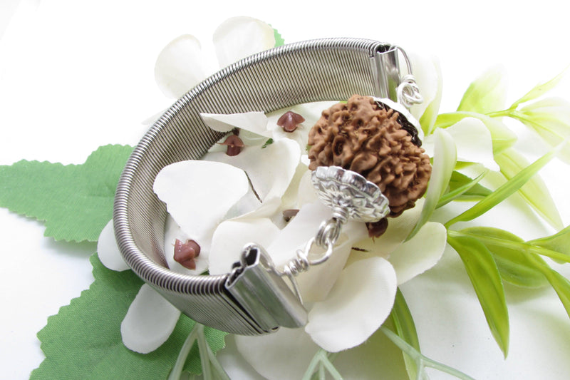 13 Mukhi Rudraksha Bracelet - Charisma & Fulfillment | Brahmatells - BrahmatellsStore