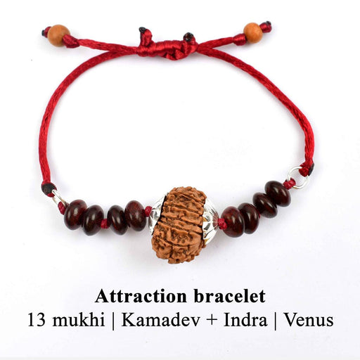 13 Mukhi Rudraksha Bracelet - Magnetize Your Presence | Brahmatells - BrahmatellsStore
