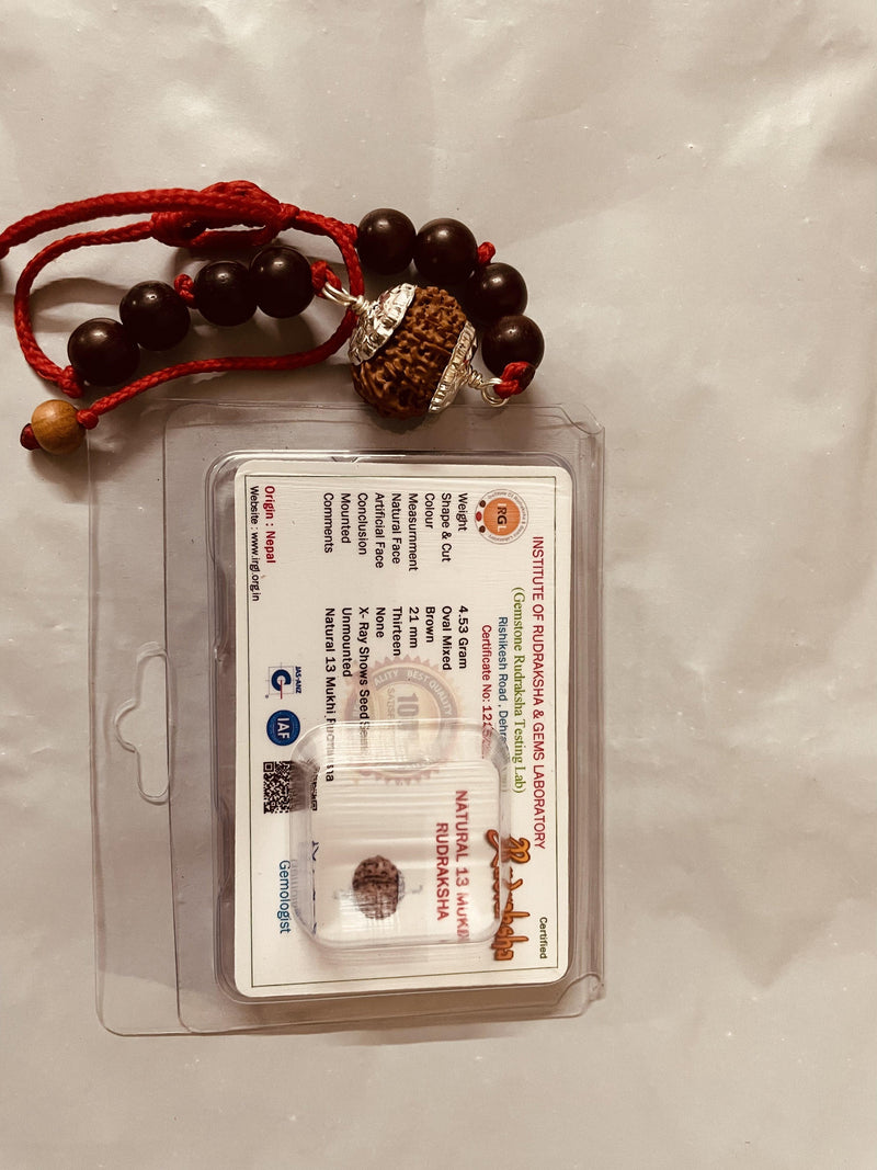 13 Mukhi Rudraksha Bracelet - Magnetize Your Presence | Brahmatells - BrahmatellsStore