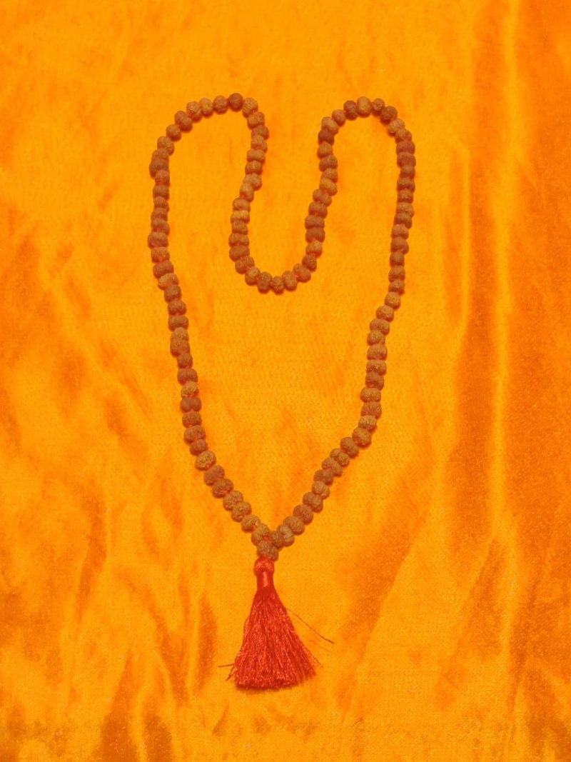 13 Mukhi Rudraksha Java - Charisma & Attraction Unlocked | Brahmatells - BrahmatellsStore