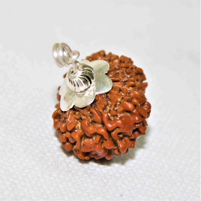 13 Mukhi Rudraksha Silver Cap Pendant - Unleash Charisma & Success | Brahmatells - BrahmatellsStore