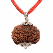 14 Mukhi Rudraksha Pendant: Unleash Paramshiva's Power | Brahmatells - BrahmatellsStore