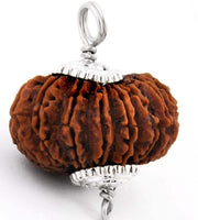 14 Mukhi Rudraksha Pendant: Unleash Paramshiva's Power | Brahmatells - BrahmatellsStore
